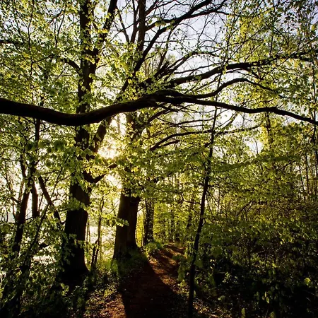 롯지 Family Winiec